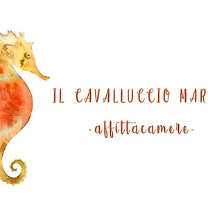 Guest house Il Cavalluccio Marino Manarola